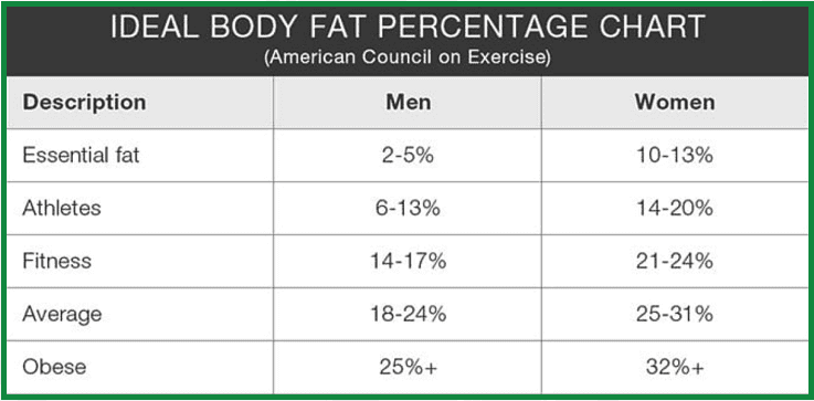 4. Body Fat Percentage – BBP Pocket Coach